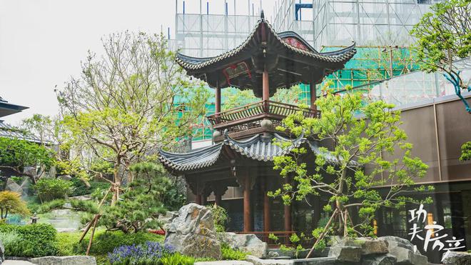 禅桂芯“超配”产品总价150万起！AG旗舰厅娱乐平台首日登记已破百！(图3)